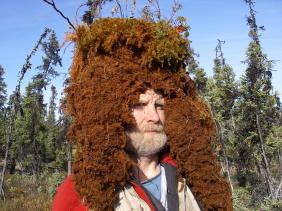 Jorgenson Koyukuk 2008